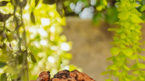 099_websize.jpg