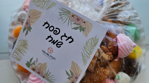 חוגגים פסח 2025 בתבל (10).jpeg